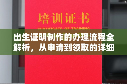 临沧出生证明制作的办理流程全解析，从申请到领取的详细指南